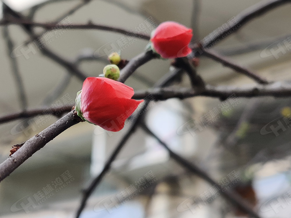 桂林鴻程花團(tuán)錦簇，滿園春色，邀您一起共賞春景，共商大計(jì)！
