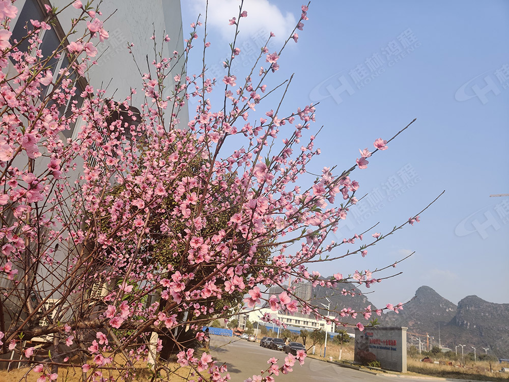 桂林鴻程花團(tuán)錦簇，滿園春色，邀您一起共賞春景，共商大計(jì)！